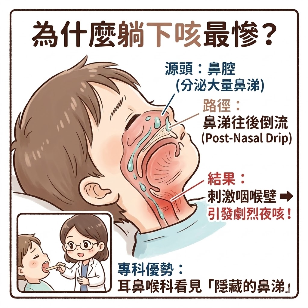 竹北耳鼻喉科推薦_陳安婕醫師_鼻涕倒流夜咳檢查