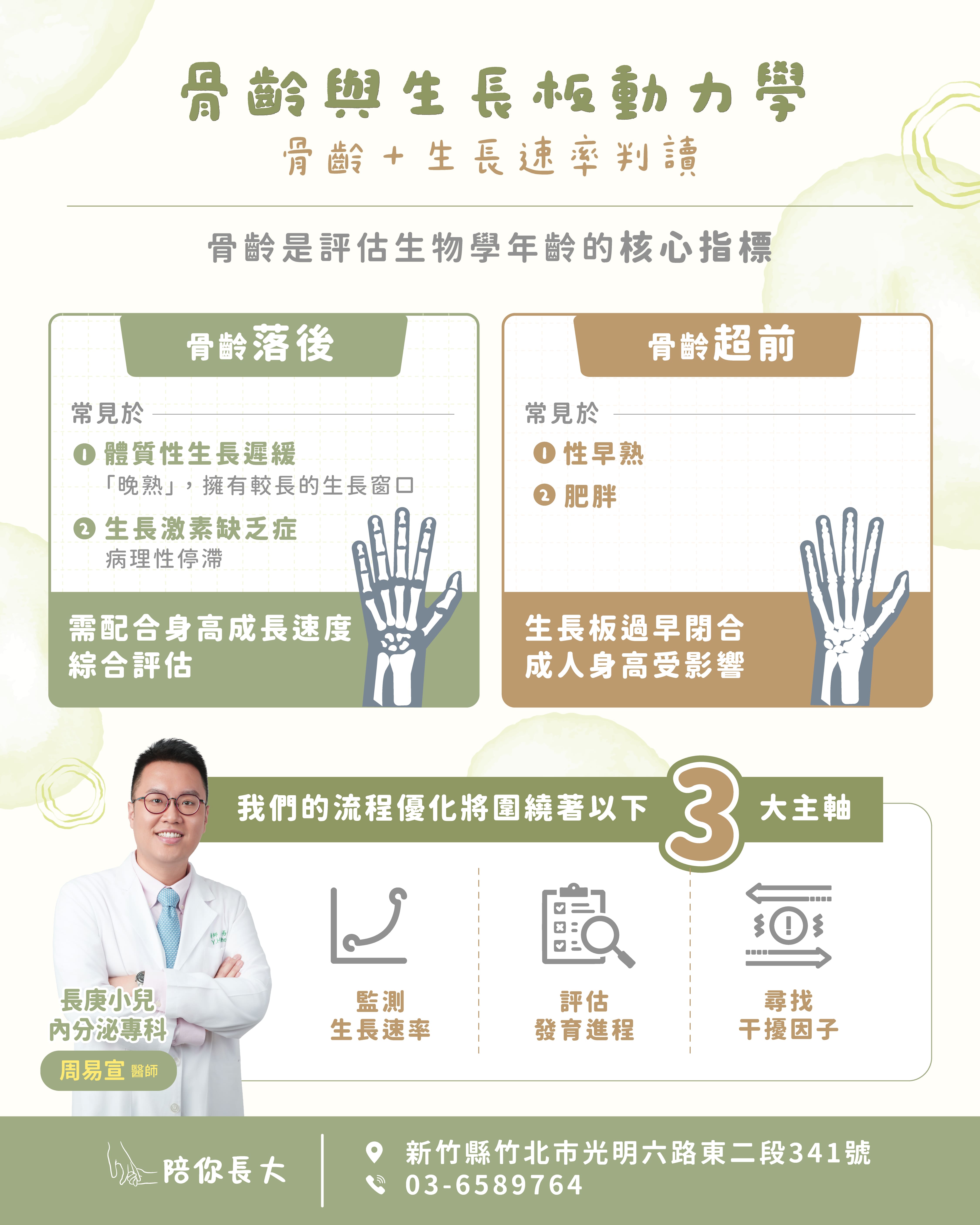 骨齡與生長板動力學