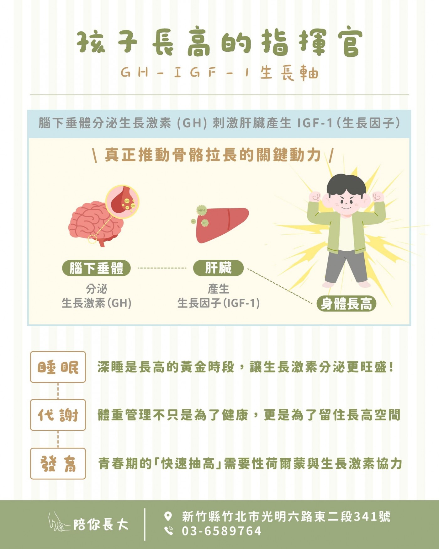 生長激素與IGF-1